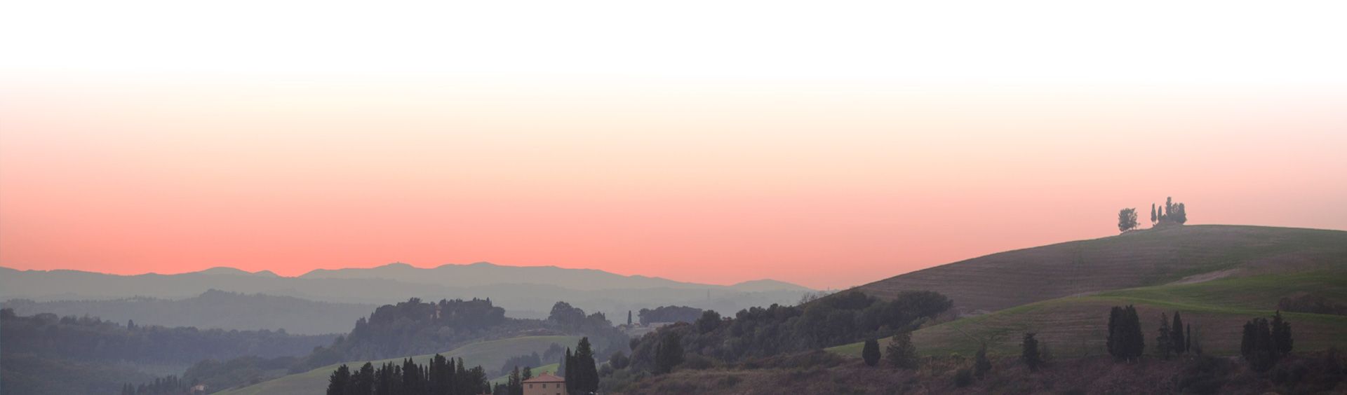 Le Colline Toscane dove vengono coltivate le Olive del Frantoio Cacioli