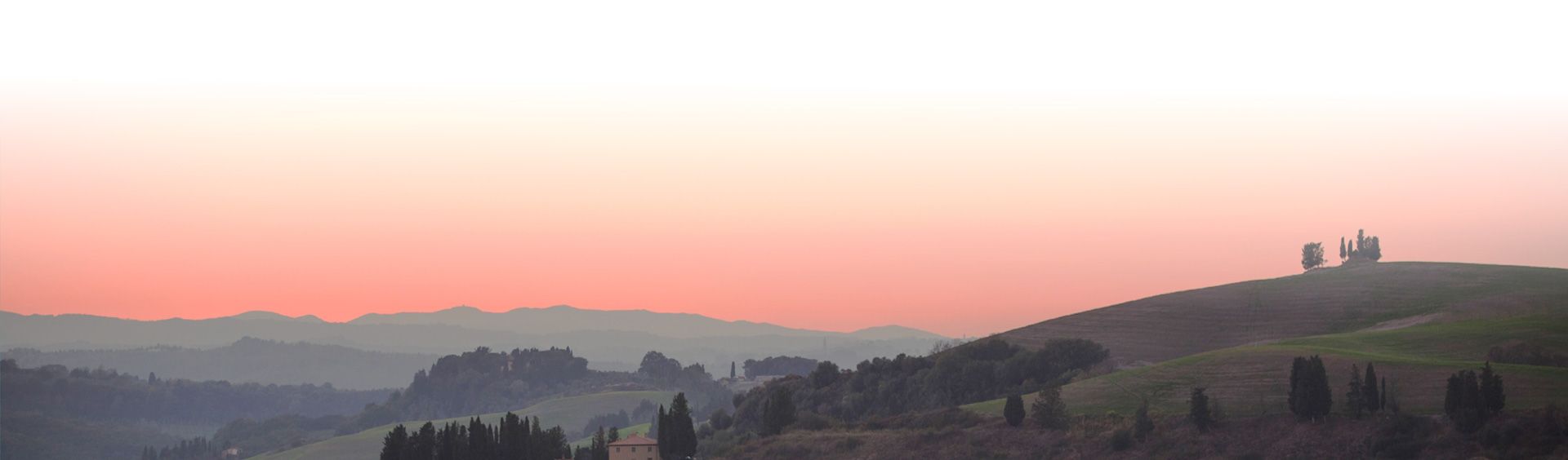 Le Colline Toscane dove vengono coltivate le Olive del Frantoio Cacioli